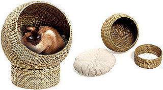 Awesomely Eco-Tastic (and Affordable!) Cat Cave 
