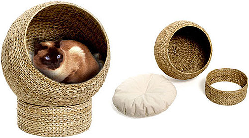 Awesomely Eco-Tastic (and Affordable!) Cat Cave 