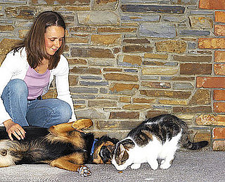 Do Tell: Fast Friends or Fighting Like Cats and Dogs?