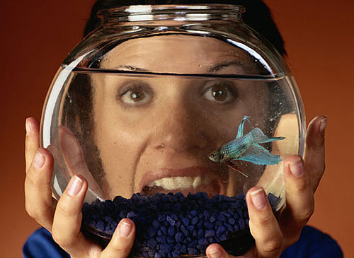 What Do You Know About Bettas?