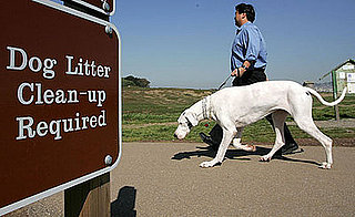 Would You Provide Doggie's DNA to Stop Unscooped Poop?