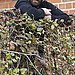 The German Zookeeper Who Saved Knut's Life