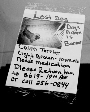 Has Your Pet Ever Gotten Lost?