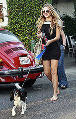 Amanda's Cav Cutie Charlie Always Has Bags on Board