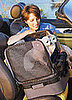 It's Not Just a Car Seat or a Suitcase . . . It's Both!