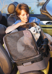 It's Not Just a Car Seat or a Suitcase . . . It's Both!