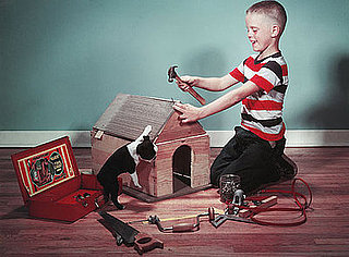 Does Your Pup Have a Dog Haus?