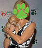 Iams Home 4 the Holidays