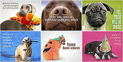 The Scoop: Evite Adds a Pet Party Invitation Section! The Scoop: Evite Adds a Pet Party Invitation Section!