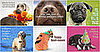 The Scoop: Evite Adds a Pet Party Invitation Section!