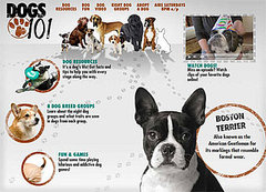 Tune In, Saturday! Animal Planet's Dogs 101 Tune In, Saturday! Animal Planet's Dogs 101