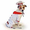 Come PetMarking With Me: Halloween Costumes For Pets