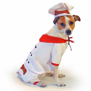 Come PetMarking With Me: Halloween Costumes For Pets