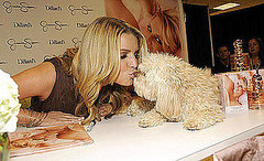In the Spotlight: Daisy Helps Jessica Be Fancy In the Spotlight: Daisy Helps Jessica Be Fancy