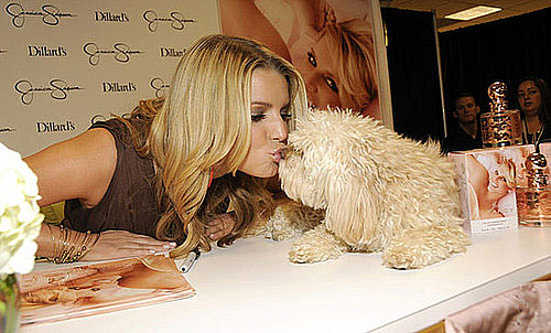 In the Spotlight: Daisy Helps Jessica Be Fancy