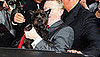 Guess What Breed?