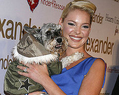 In the Spotlight: No More Pups or Heigl's in the Doghouse! In the Spotlight: No More Pups or Heigl's in the Doghouse!