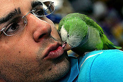 Have You Ever Had a Pet Bird?