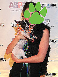 ASPCA Shaggy Dog Gala