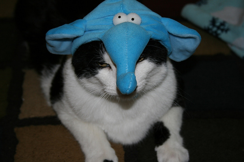 There's an Elephant in the Room There's an Elephant in the Room