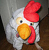 North Rules My Roost As a Rooster!