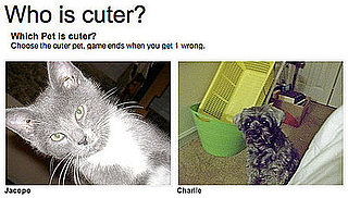 Two Little Cutie Pies, Do You Have a Fave?