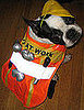 Do Tell: Do You Reuse Costumes From Year to Year?