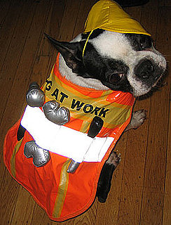 Do Tell: Do You Reuse Costumes From Year to Year?