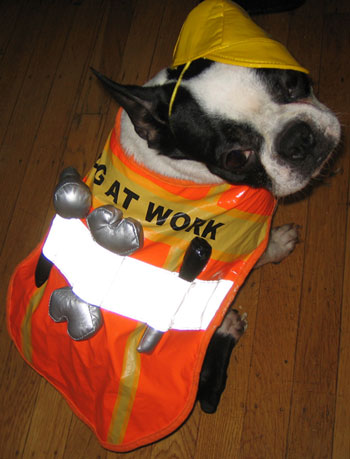 Do Tell: Do You Reuse Costumes From Year to Year?