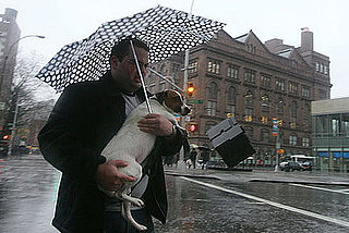 Rain, Rain Go Away?