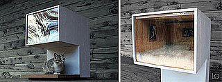 Cat House Even Has Art on the Walls: In the LINK of an Eye!