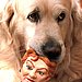 6. Chew Toys