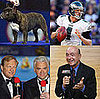 What Will You Watch Today: The NFL or National Dog Show?