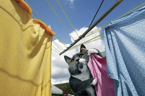 Hang it out to dry Hang it out to dry