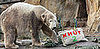 Happy Second Birthday, Knut the Cute!