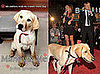 Did You Read Marley & Me?