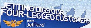 The Scoop: JetBlue Unveils JetPaws Program
