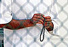 Send Them to Rehab? Program Could Answer Gitmo Problem 