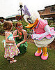 Shades of Green —  A Disney Resort For Military Families