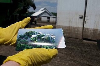 Effect of Floods on Food
