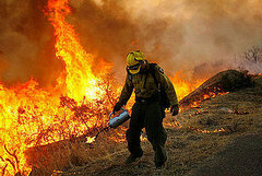 Top News Stories 2008-07-07 06:55:19 Top News Stories 2008-07-07 06:55:19
