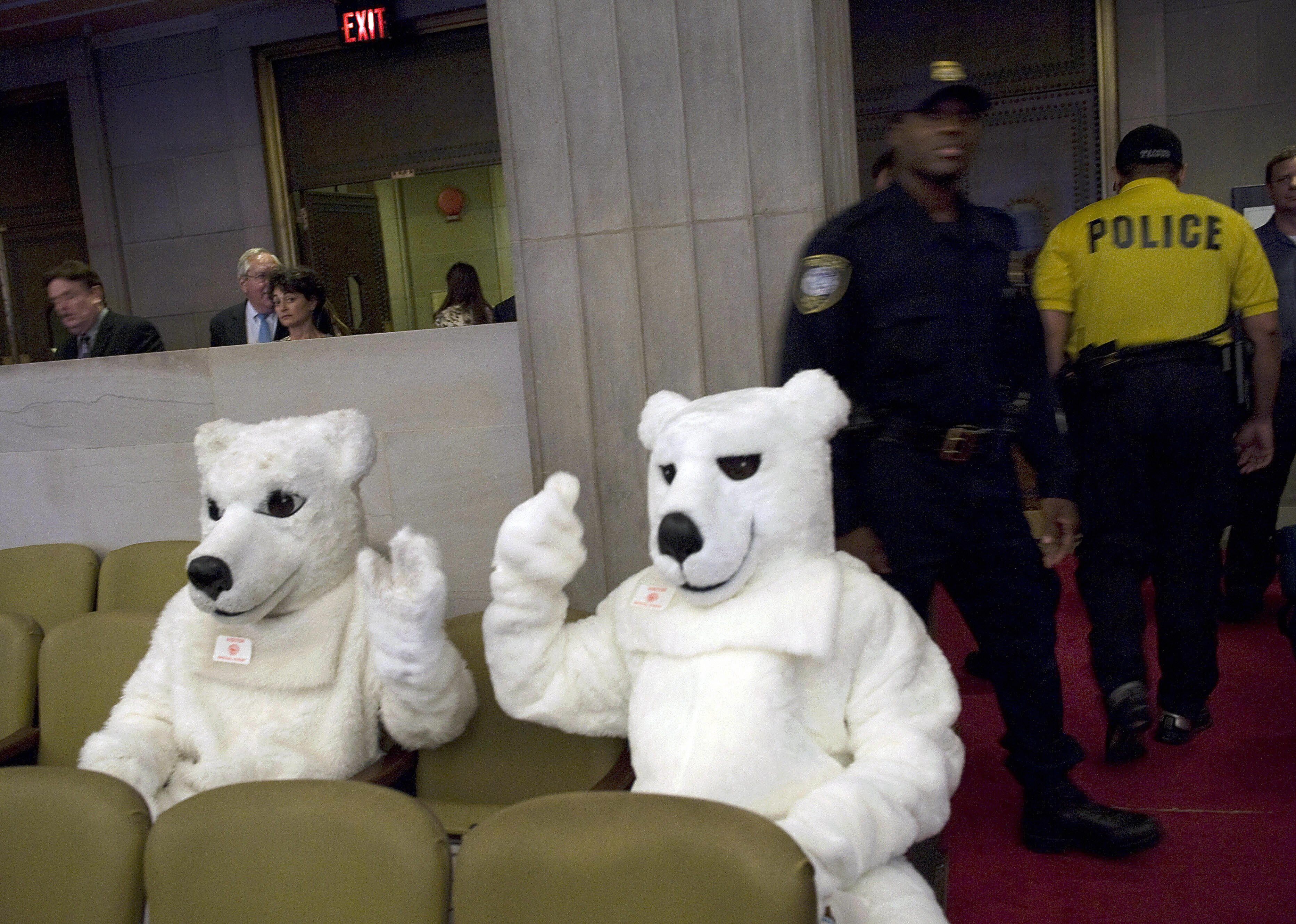 Polar bears. A new addition. Polar bears. A new addition.