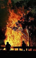 Islamic Group Threatens Forest Fire Jihad in Australia Islamic Group Threatens Forest Fire Jihad in Australia