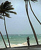 Love Thy Neighbor: Caribbean Tribe to Keep It in the Family
