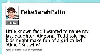 Lighten Up! Fake Sarah Palin on Twitter, Giggles Ensue?
