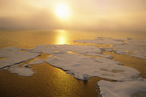 Oh Floe! Melting Ice Releases Millions of Tons of Methane Gas