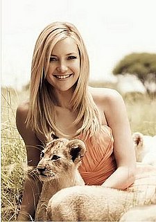 David Babaii and Kate Hudson's Hair Products for Wildaid