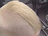 Six-Year-Old to Be Suspended for Flat Top Haircut