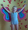 Carboard Box Butterfly Costume