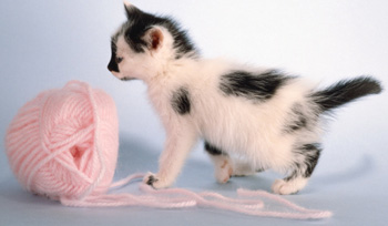 Ball of Yarn Ball of Yarn